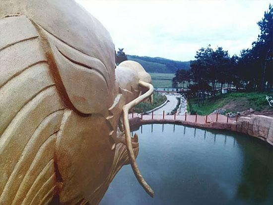 金龙远眺